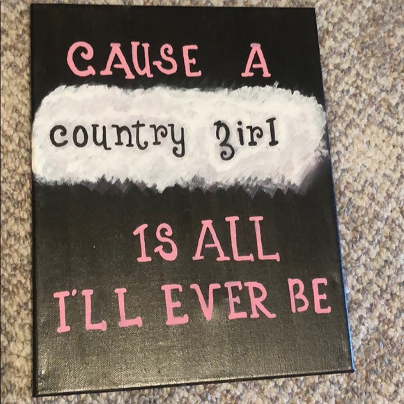 Other - Dorm room decor for country girls